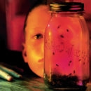 Alice in Chains- Jar of Flies