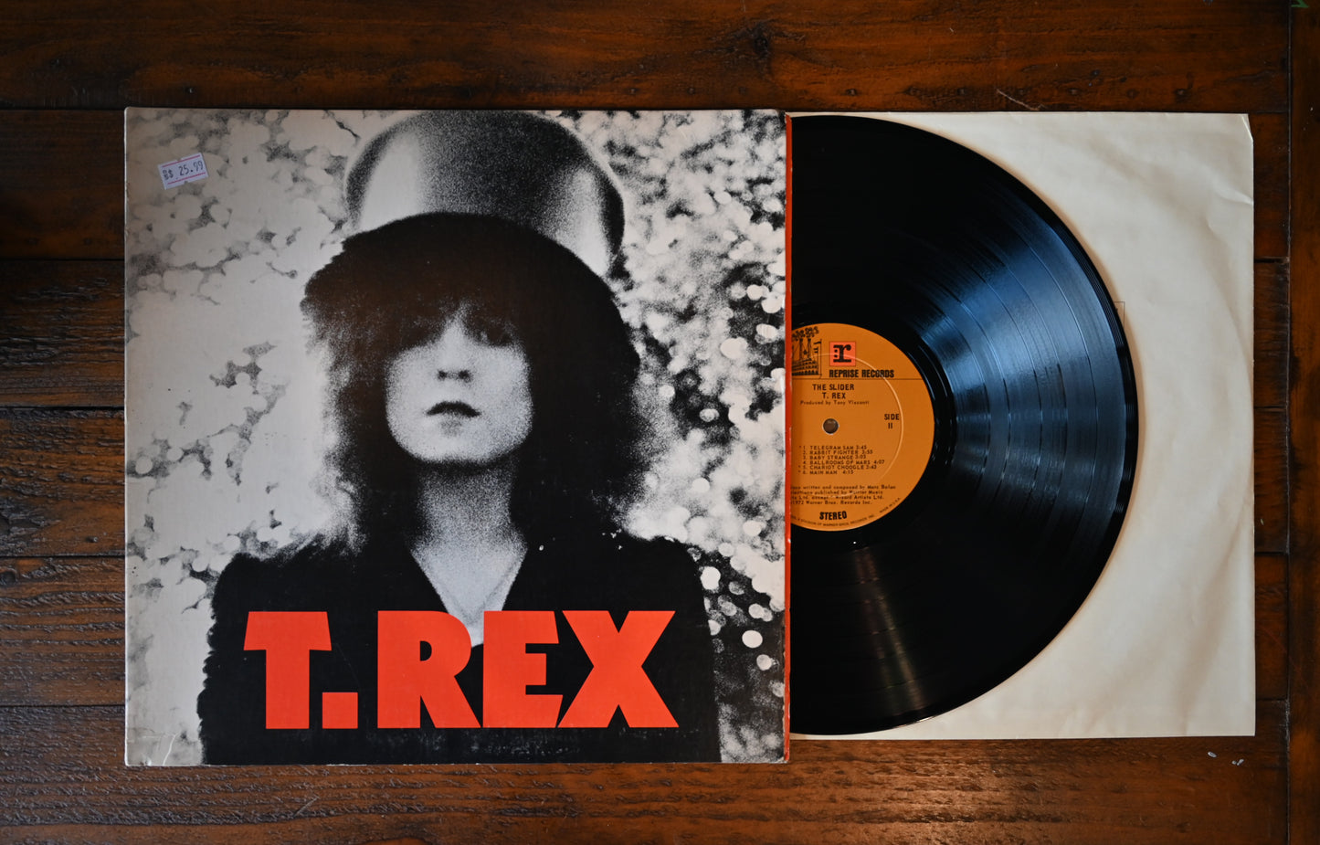 T- Rex- The Slider